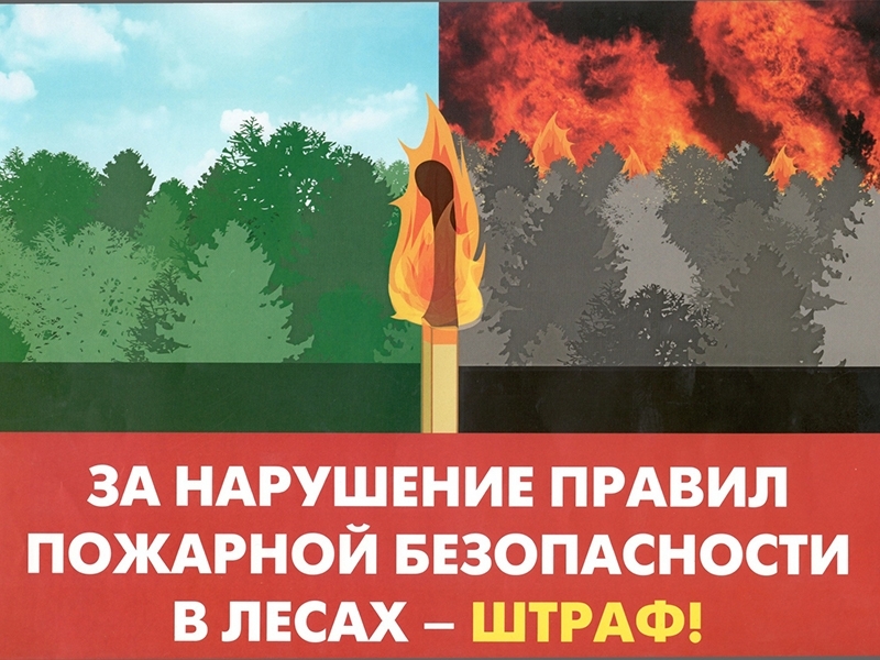 За нарушение требований пожарной безопасности в лесах предусмотрена ответственность.