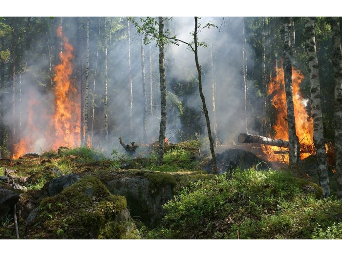 С начала пожароопасного периода в Югре зафиксировано 66 лесных и 111 ландшафтных пожаров.