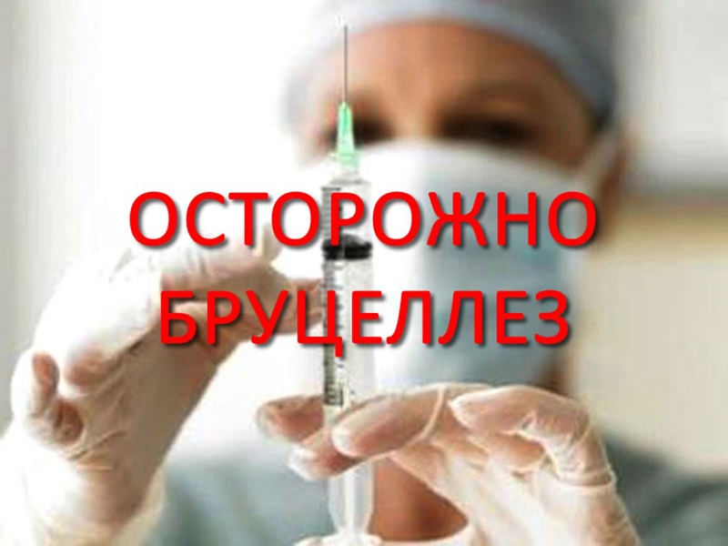 Внимание! В весенне-летний период повышается риск заболевания бруцеллезом.