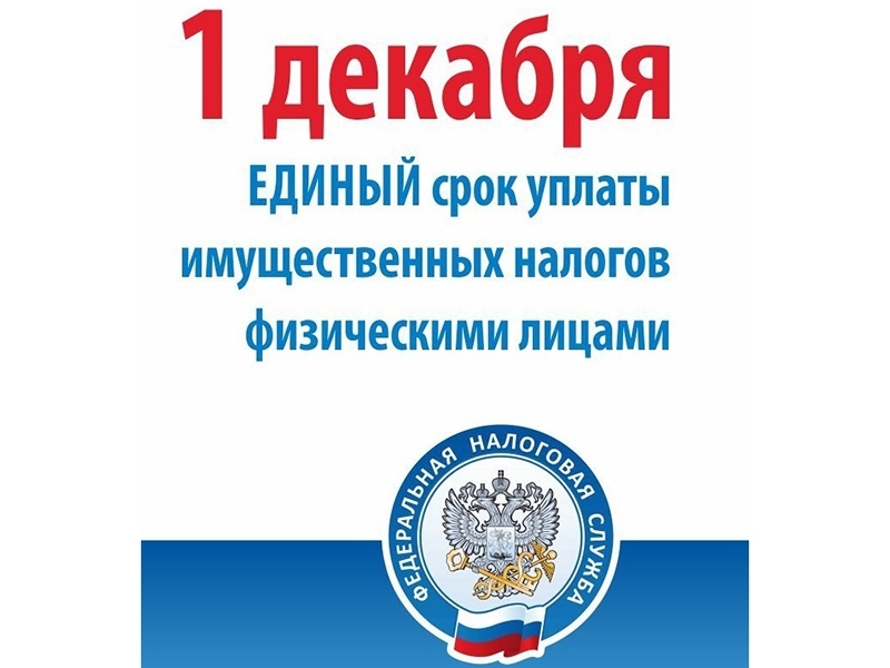 Срок уплаты имущественных налогов физических лиц наступает 1 декабря 2022 года.