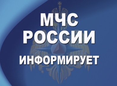 О дополнительных социальных гарантиях гражданам, пострадавших в результате ЧС.