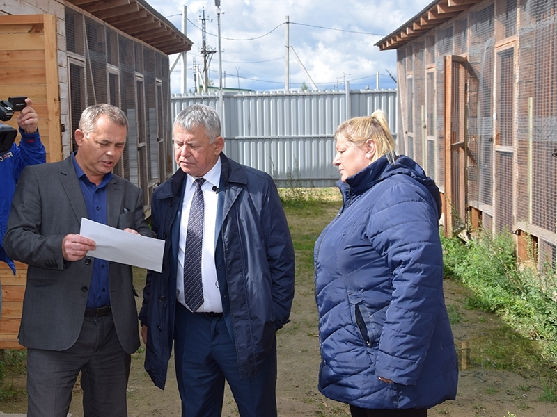 #ПешкомПоГороду: объект для содержания животных, двор дома на Чехова,1 и Мега.Парк.