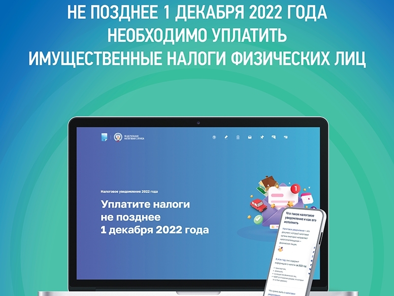 1 декабря - срок уплаты имущественных налогов.