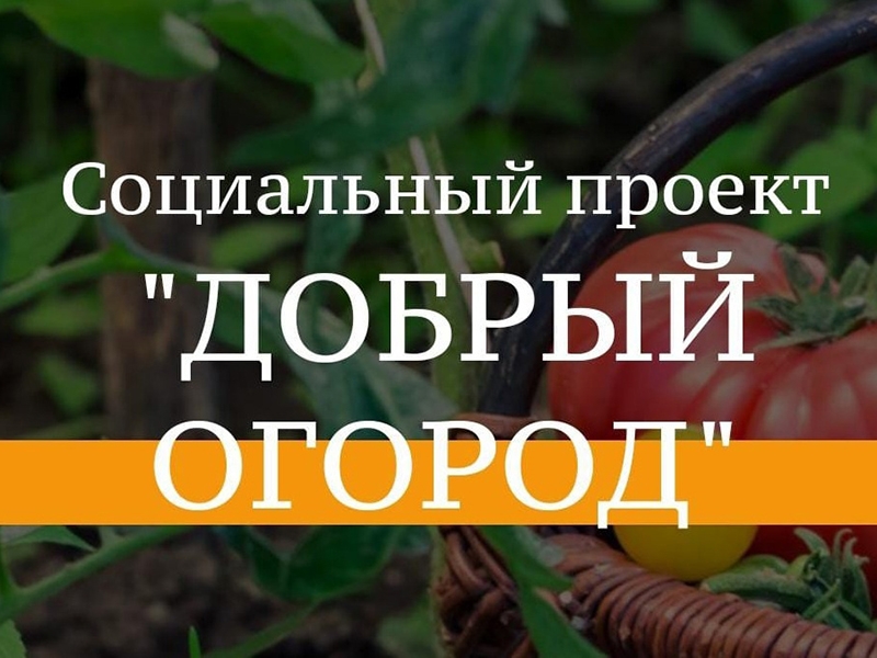 Общественная палата РФ продолжает реализацию Всероссийского социального проекта #Добрый огород, направленного на поддержку садоводов и огородников.