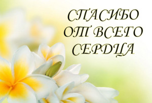 Благодарность от граждан, прибывших из Донецкой Народной Республики.