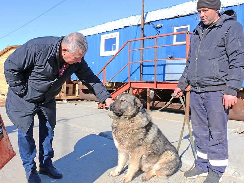 Помощь лучшему другу человека.