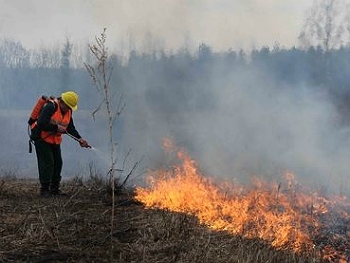 В Мегионе полицейские установили предполагаемых виновников лесных пожаров.