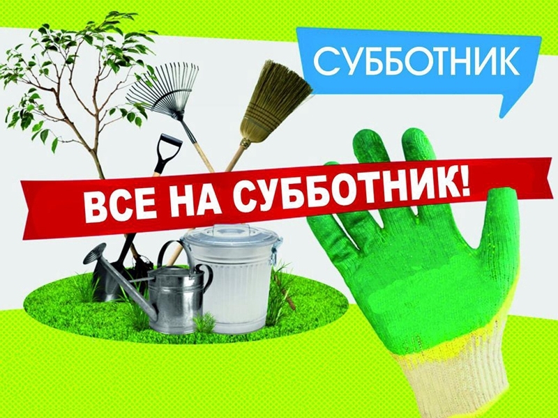 Все на субботник!.