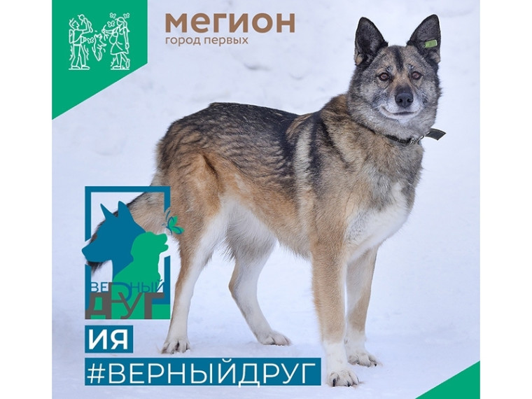 Ия - умудренная опытом, но сохранившая детскую душу. Ия - умудренная опытом, но сохранившая детскую душу.