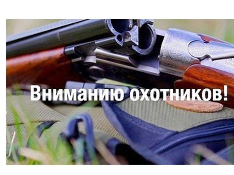 Вниманию охотников: грипп птиц!. Вниманию охотников: грипп птиц!.