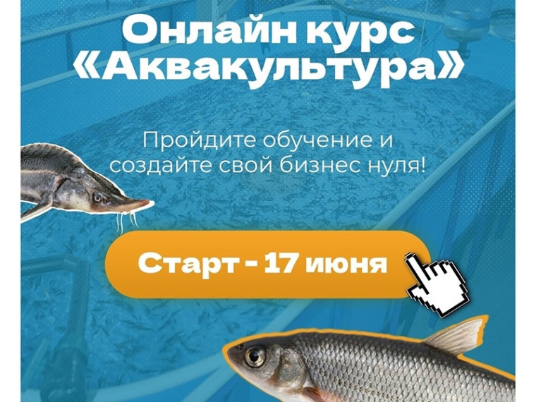 Онлайн курс «Аквакультура». Онлайн курс «Аквакультура».