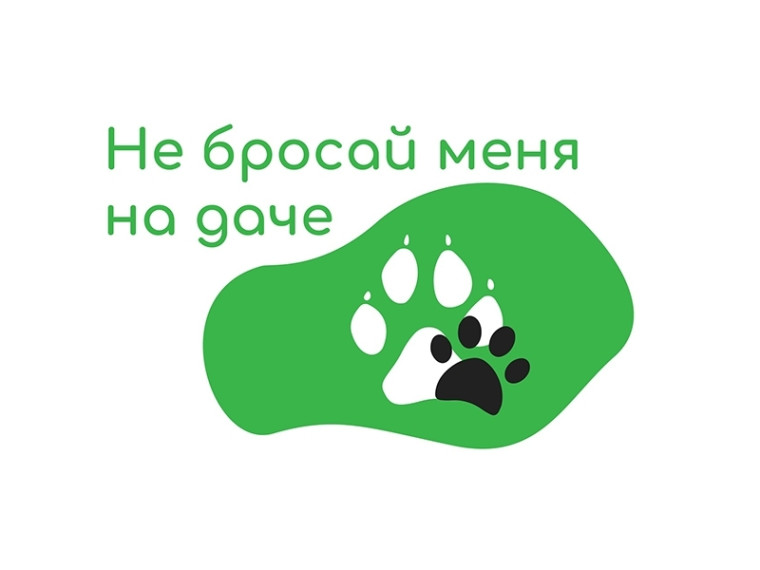 Акция «Не бросай меня на даче» в Югре. Акция «Не бросай меня на даче» в Югре.
