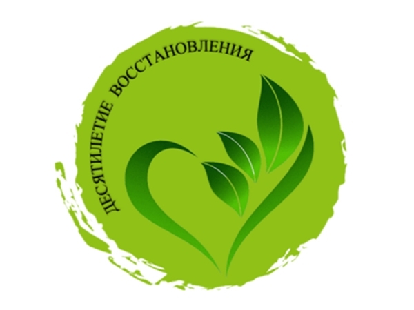 СМИ и блогеры приглашаются к участию в экологическом конкурсе «Десятилетие восстановления». СМИ и блогеры приглашаются к участию в экологическом конкурсе «Десятилетие восстановления».