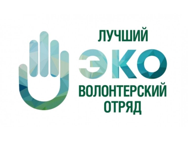 «Лучший эковолонтерский отряд». «Лучший эковолонтерский отряд».