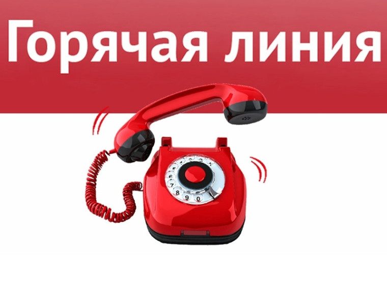 «Горячая линия» Фонда социального страхования. «Горячая линия» Фонда социального страхования.