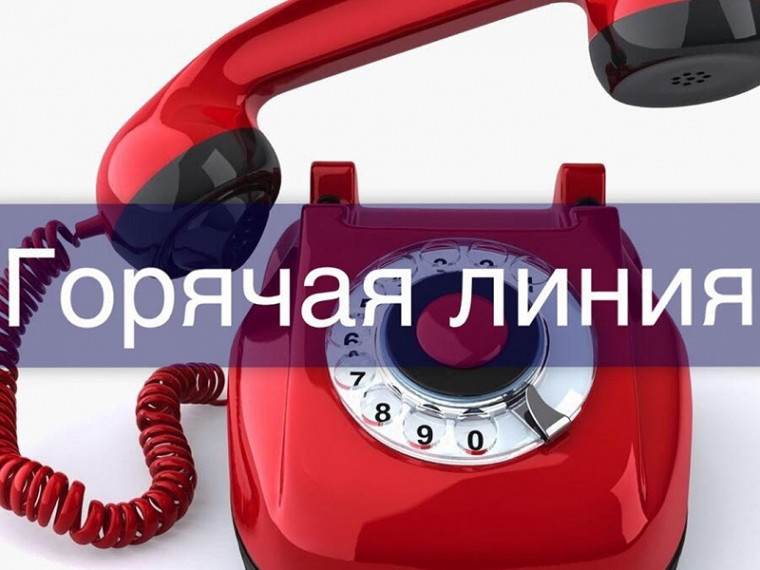 Всё о мерах поддержки субъектов малого и среднего предпринимательства можно узнать по телефону «горячей линии». Всё о мерах поддержки субъектов малого и среднего предпринимательства можно узнать по телефону «горячей линии».