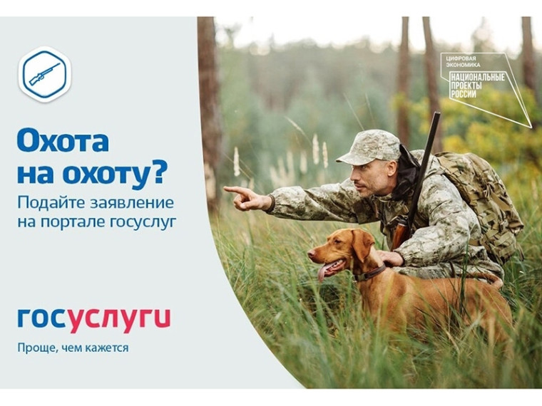 Югорские охотники получают разрешения на охоту, не выходя из дома. Югорские охотники получают разрешения на охоту, не выходя из дома.