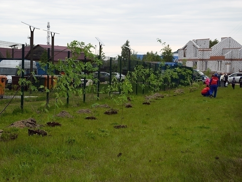 «Сад Дружбы».