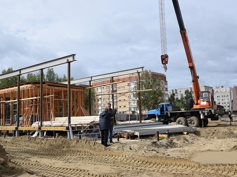 #ПешкомПоГороду: объект для содержания животных, двор дома на Чехова,1 и Мега.Парк.