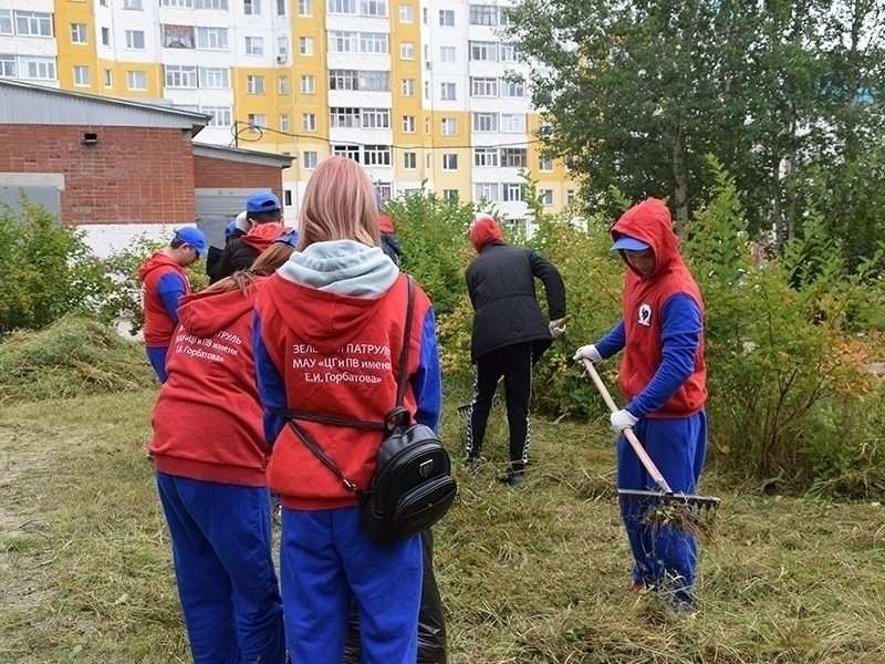 #ПешкомПоГороду: объект для содержания животных, двор дома на Чехова,1 и Мега.Парк.