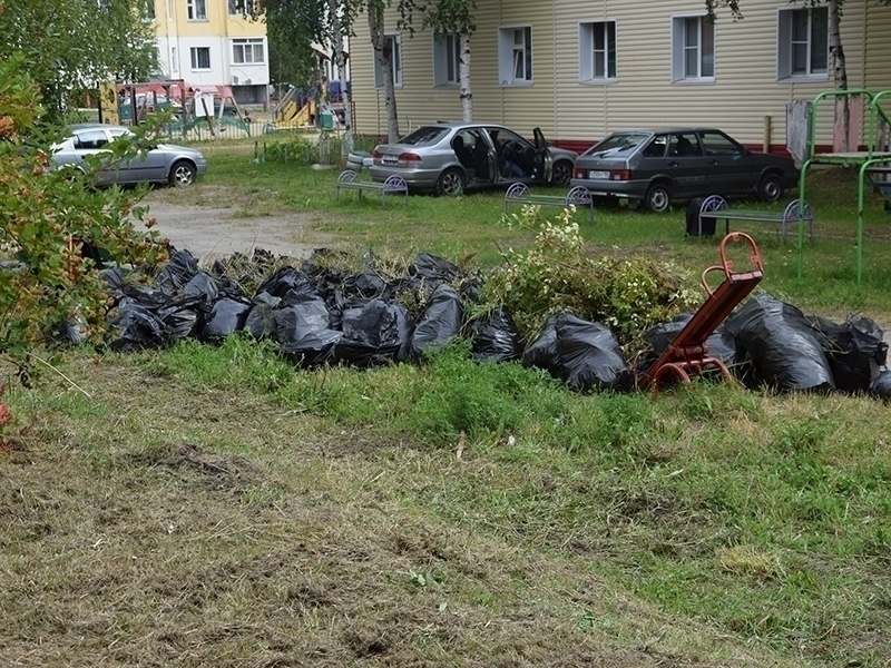 #ПешкомПоГороду: объект для содержания животных, двор дома на Чехова,1 и Мега.Парк.