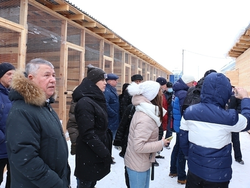 Сегодня свою работу начал объект для временного содержания бездомных животных.