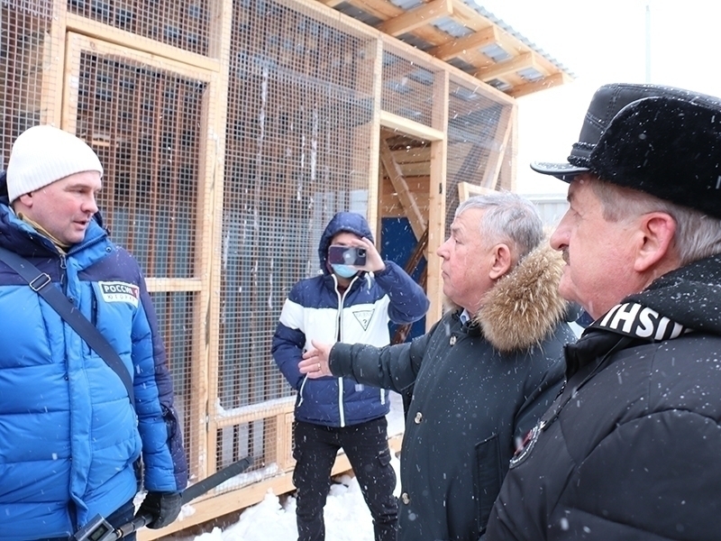 Сегодня свою работу начал объект для временного содержания бездомных животных.